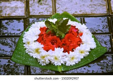 athapoo images stock  vectors shutterstock