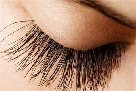 Do Eyelashes Grow Back If Cut After Lash Extensions Burnt Pull Them