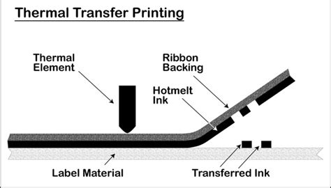 Thermal Transfer Labels Northern Labels