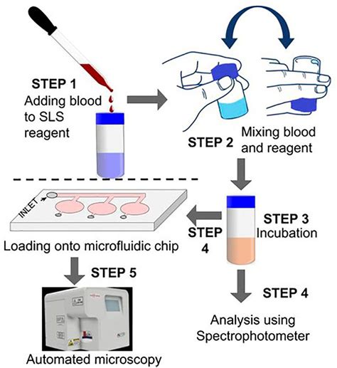 Hemoglobin Determination Methods