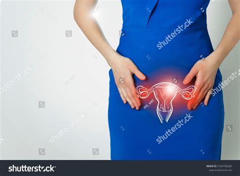 74 Female Human Vagina Photo Royalty Free Images Stock Photos Pictures Shutterstock