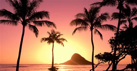 Island Hop On Your Next Hawaiian Cruise