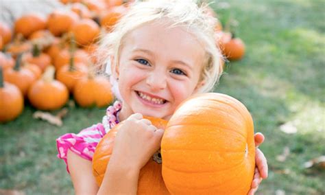 Irvine Park Pumpkin Patch Calendar Mandy Rozelle