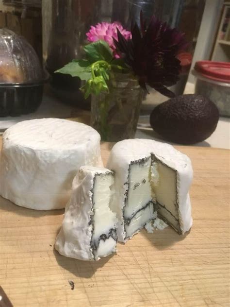 Goat Cheese Recipe With Ash Recipes Cheese Making Supply