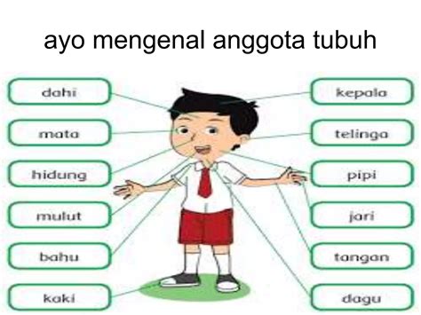 Anggota Tubuh Dan Panca Indra PPT