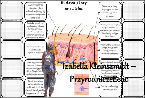 Notatka Okienkowa Stacja Zadaniowe Notatka Notatka Graficzna Karta