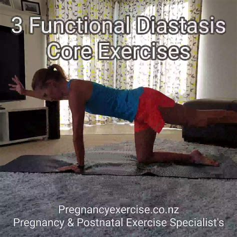 5 Core Exercises For Postpartum Diastasis Recti Pelvic Floor Artofit