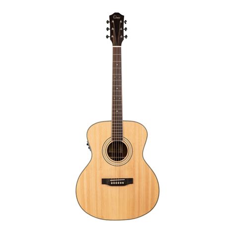 Omni F-260ES купить с гарантией снижения цены гитара ...