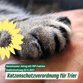 Gemeinsamer Antrag Katzenschutzverordnung für Trier Gemeinsamer