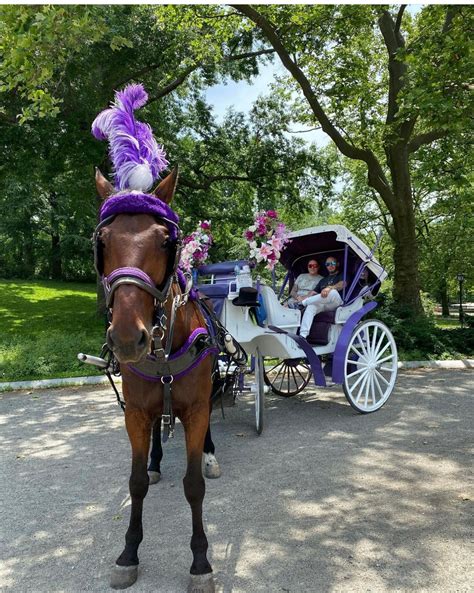 Central Park Carriage Ride | Carriage Rides & Tours in NYC