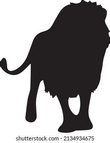 1 207 Lion Sex Images Stock Photos Vectors Shutterstock