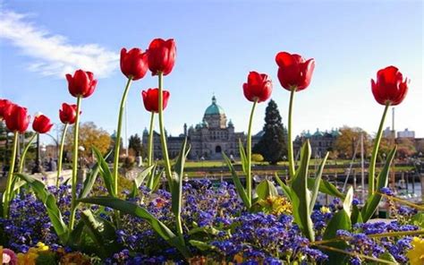 Visit Butchart Gardens From Vancouver With Ease Vancouver Planner