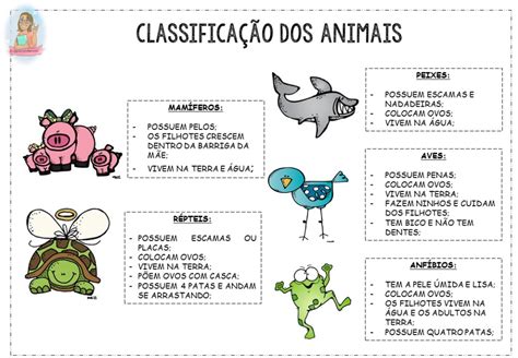 Classificação dos animais Classificação dos animais Atividades