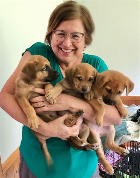 No ifs, ands, or MUTTS about it:... - Patterson Veterinary