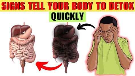 7 Signs Your Body Needs To Detox Immediately Youtube