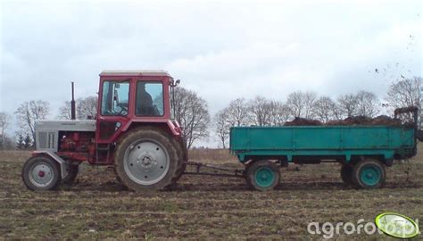 Fotografia ciagnik Belarus 560 id:125469 - Galeria rolnicza agrofoto