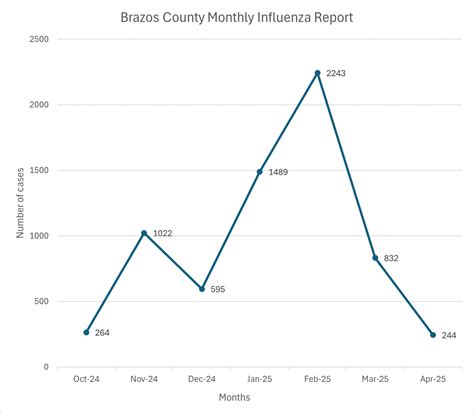 Stay Informed About Local Arrests By Monitoring The Brazos County Inmate Search Database For Real-Time Public Safety Record Updates 16