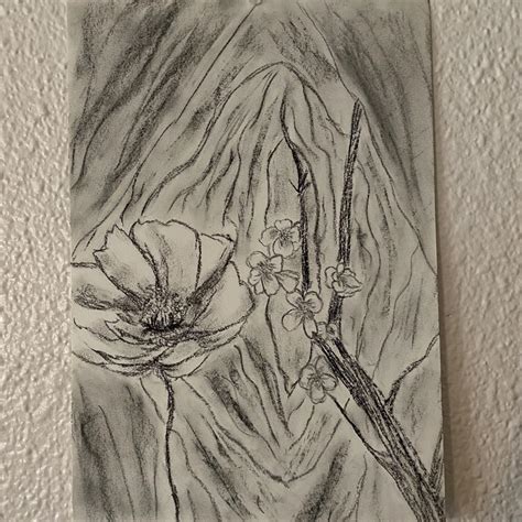 Charcoal Nude Drawing Yes Its A Vagina With Depop