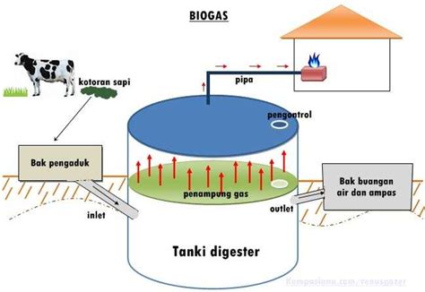 Mengenal Teknologi Cara Membuat Biogas Proses Dan Faktor Yang