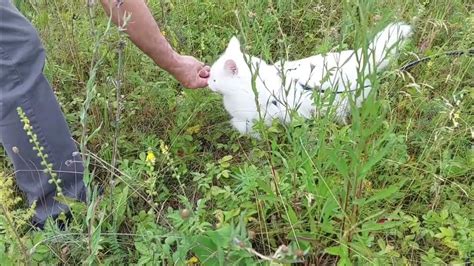 Ниточка с иголочкой - YouTube