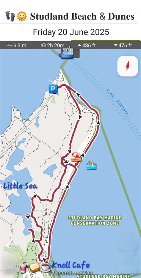 Dorset Group Jun Studland Beach Dunes Gay Outdoor Club