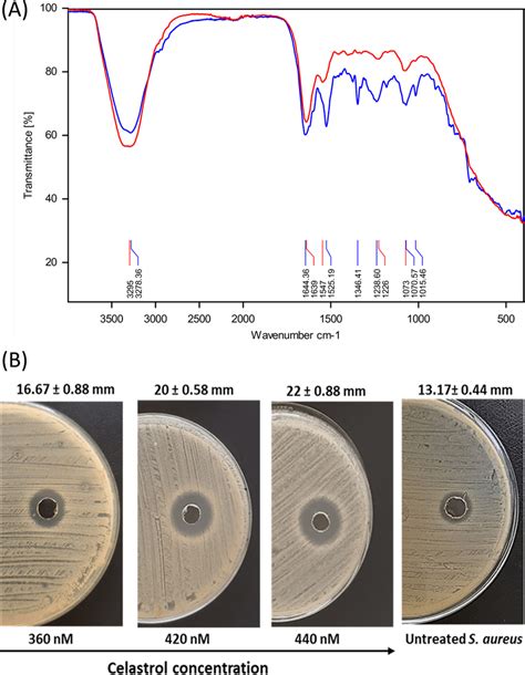 A The Raw Spectra Of S Aureus Atcc 6538 Cells And Celastrol Treated