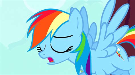 Dash Rainbow Dash Photo 39885917 Fanpop