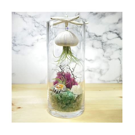 This Floating Jellyfish Air Plant Terrarium Is A Truly Eye Catching