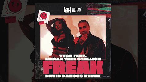 Tyga Megan Thee Stallion FREAK David Dancos Rexmix YouTube