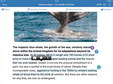 adding   comments ios