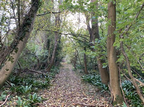 Ten Acre Woods Filming Photoshoot Hire House In The Woods