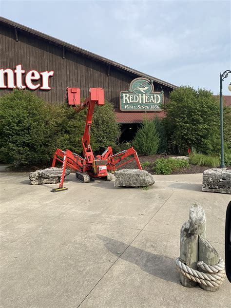 Hiring lewis tree service revealed a hidden property danger 1