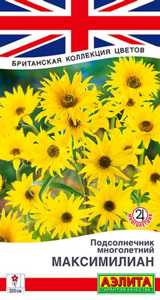 Подсолнечники декоративные, Подсолнух декоративный (Гелиантус ...