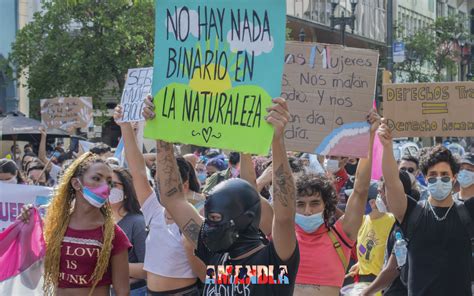 Memoria Y Primera Marcha Nacional Trans En Ecuador Amandla