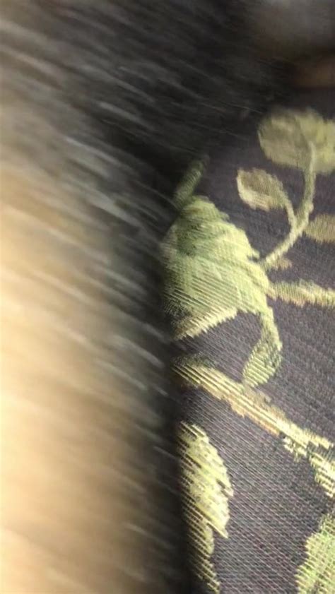 Black Hot Hairy Mature Granny Pussey Hot Cumshot Porn Ad Es