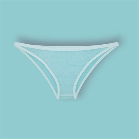 Sheer Mesh Panties Sexy Lingerie See Through See Through Mesh Sheer Sissy White Bridal Panties