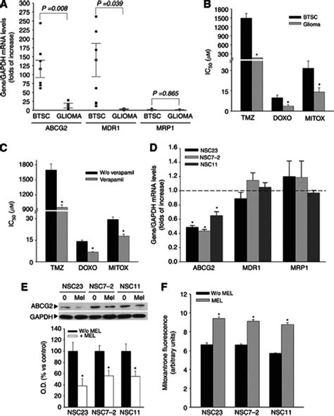 Melatonin Regulation Of Abcg Bcrp Expression And Function A