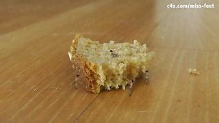 Goddess And Giantess Skylarsrene Free Porn C Xhamster Xhamster