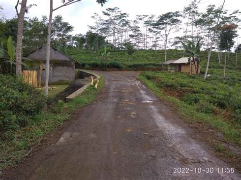 Dijual Tanah Kebun Dilokasi Strategis Pinggir Jalan