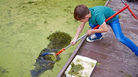 Entengr Tze Weltrekord Pflanzen Verzichten Auf Sex Oberfranken Frankenpost
