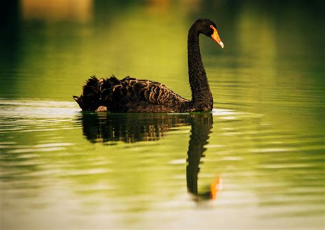 Snoopy+Good+Morning+Tuesday+Images Photos, Download The BEST Free