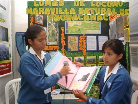 Aprende Ciencias Con Estos Proyectos De Feria Para Primaria