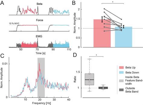 Overview Of Beta Modulation During Steady Contractions A Beta Feature