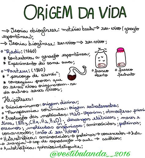 Resumo Origem Da Vida - 10