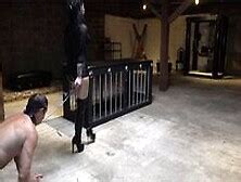 Temptress Nude Pornstar Search 3477 Results