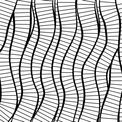 Vector abstract background of lines in black and white colors 34411054