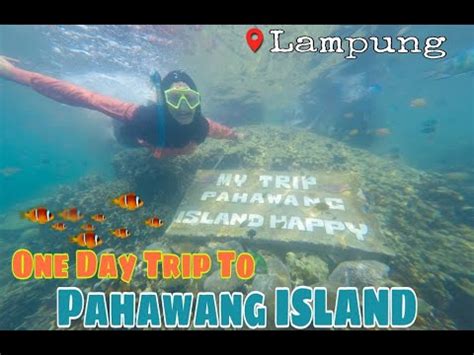 Trip Sehari Ke Pulau Pahawang Lampung Snorkeling Bareng Ikan Nemo