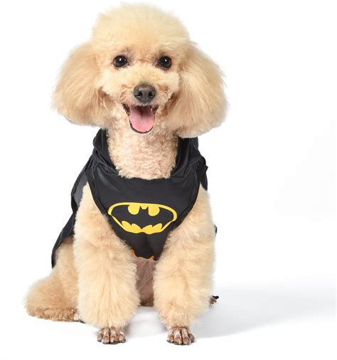 alcohol dog costume 5