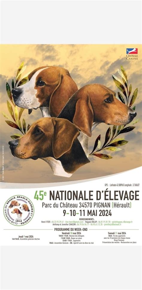 Nationale d élevage 2024 Société Centrale Canine