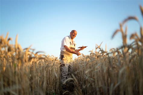 Agrotech X Produtor Como Unir Esse Mercado Sucesso No Campo